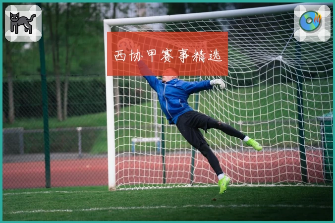西协甲赛事精选
