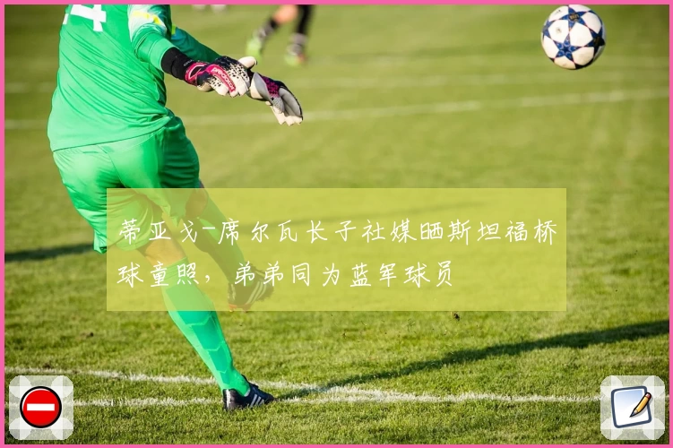 蒂亚戈-席尔瓦长子社媒晒斯坦福桥球童照，弟弟同为蓝军球员