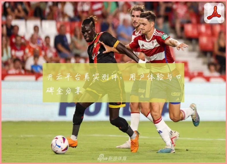 开云平台真实测评，用户体验与口碑全分享