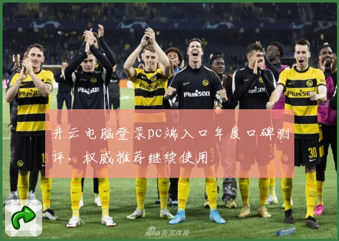 开云电脑登录pc端入口年度口碑测评，权威推荐继续使用