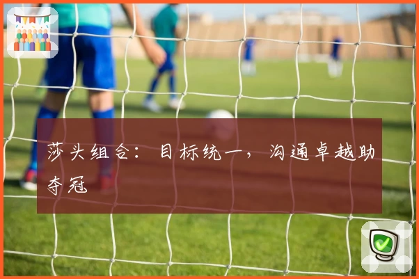莎头组合：目标统一，沟通卓越助夺冠